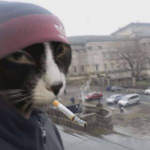 Мэйби Хмурый