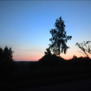 Lytik228