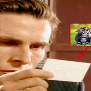 тоткомулижет