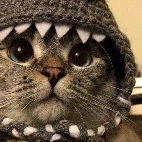 Владимир Алексеев