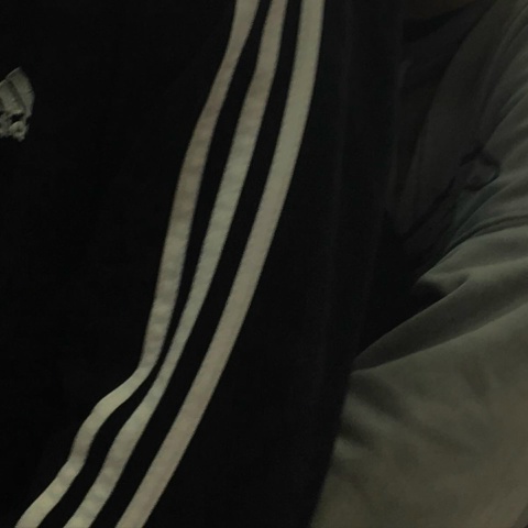 نيكيتا ميلاشكين